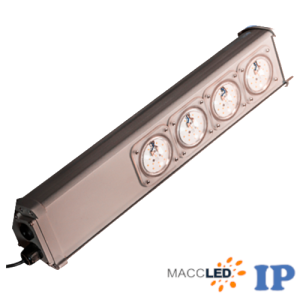 MAC.IP.CAS Linear1 (MLCAS)